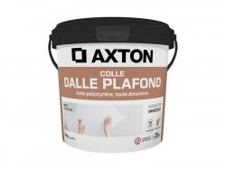 Colle Dalle de plafond polystyrène AXTON, 4 kg