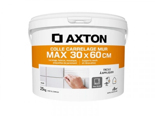 Colle en pâte mur plan de travaiL intérieur, AXTON, 25 kg blanc