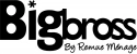 BIG BROSS