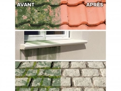 Vignette n°2