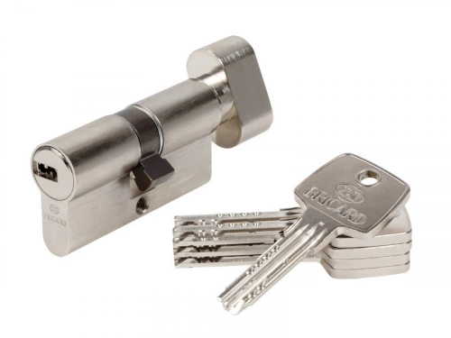 Cylindre De Serrure Bricard Astral Bouton L.30 + 30 Mm