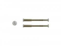 Lot De 2 Vis Acier Laqué, L.4.5 X L.0.7