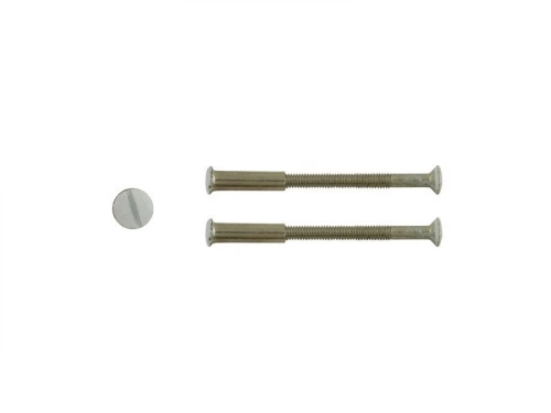 Lot De 2 Vis Acier Laqué, L.4.5 X L.0.7