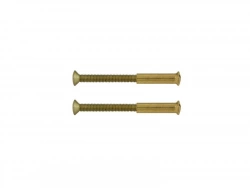 Lot De 2 Vis Acier Laitonné, L.4.5 X L.0.7