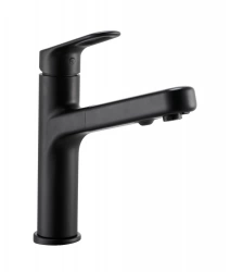 Mitigeur cuisine douchette ICONE noir