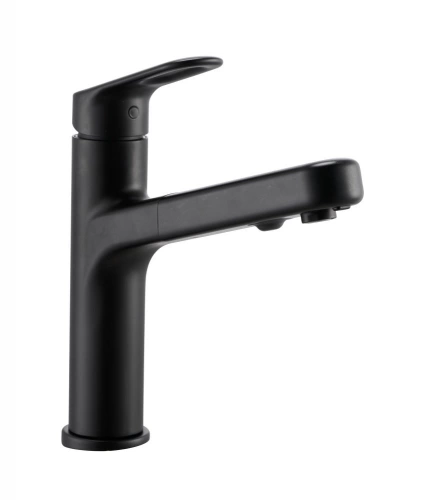 Mitigeur cuisine douchette ICONE noir