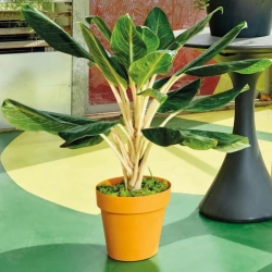 DEROMA Pot de fleurs rond Like curry - Coloris jaune - 18cm