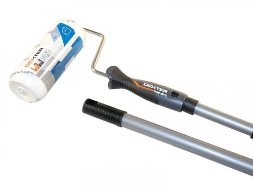 Lot de perche et rouleau, DEXTER PRO