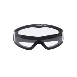 Lunettes masque DEXTER réglable, verres incolores
