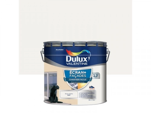 Peinture façade écran+ DV mat 10 L blanc
