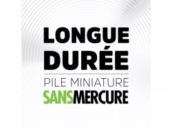 Vignette n°2