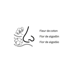 Vignette n°3