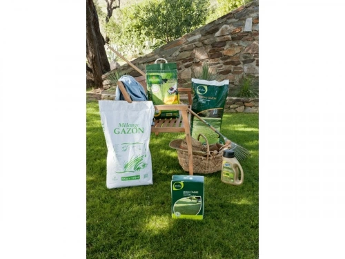 Gazon Ombre Geolia, 1 Kg, 35 M²