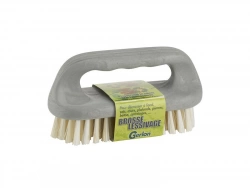 Brosse Lessivage Economique Tampico