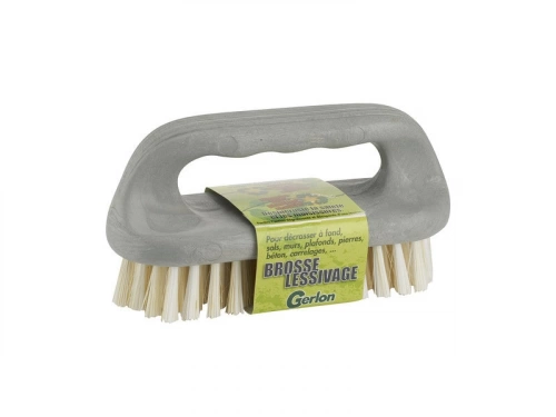 Brosse Lessivage Economique Tampico