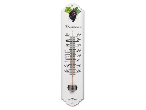 Thermomètre Intérieur Ou Extérieur Inovalley 7100
