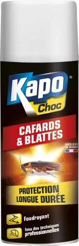 Insecticide aérosol cafards et blattes KAPO, 400 ml