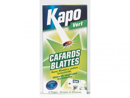 Anti Cafard/Blatte Piege X5 Kapo Vert
