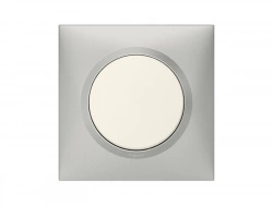Plaque simple Dooxie, LEGRAND, aluminium
