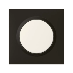 Plaque simple Dooxie, LEGRAND, noir velours