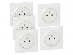 Lot De 5 Prises Avec Terre Complet Dooxie, Legrand, Blanc
