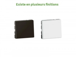 Vignette n°2
