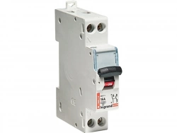 Disjoncteur phase + neutre 16 A, LEGRAND