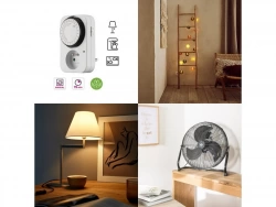 Vignette n°2