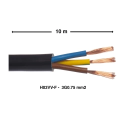 Câble électrique ho3vvf 3G0, LEXMAN, noir 10 métres