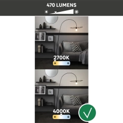 Vignette n°2