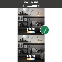Vignette n°2