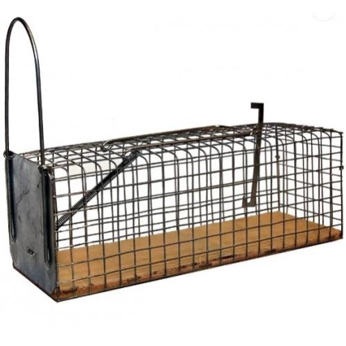 Piège nasse à rat longueur 28 cm socle bois MASY