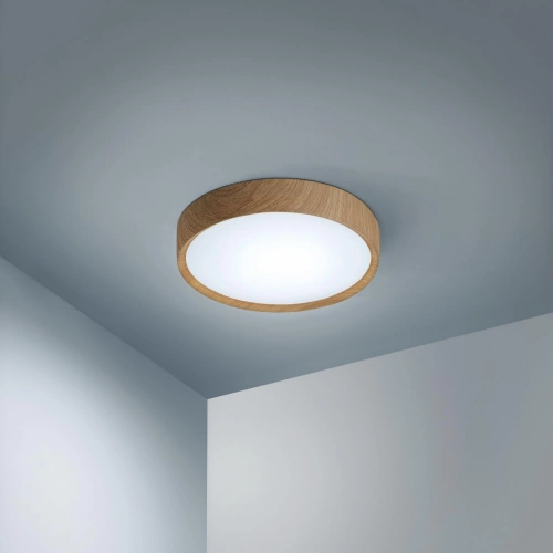 Plafonnier SDB, nature bois led intégrée LUMIPLUS Suli D.33.5 cm