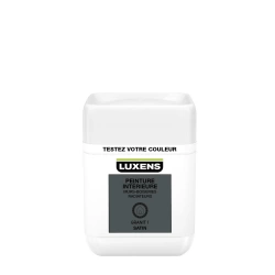 Testeur peinture, mur, boiserie, radiateur LUXENS, granit 1, satin, 0.05