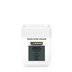 Testeur Peinture, Mur, Boiserie, Radiateur Luxens, Paris 1, Satin, 0.05