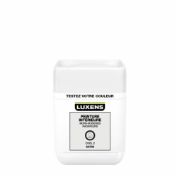 Testeur peinture, mur, boiserie, radiateur LUXENS, cool 2, satin, 0.05