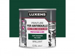 Peinture Fer Extérieur Luxens Vert Mousse Glossy 0.5 L