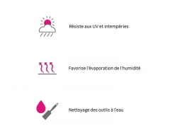 Vignette n°3