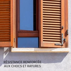 Vignette n°2