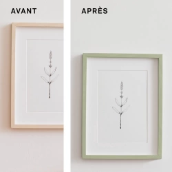 Vignette n°3