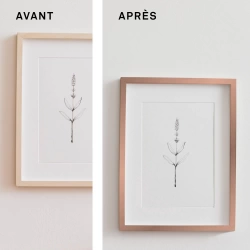 Vignette n°3