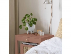 Vignette n°2
