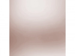 Vignette n°3