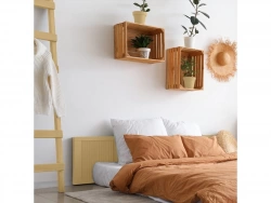Vignette n°2