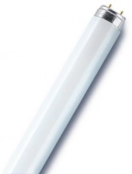 Tube fluorescent droit G13 opaque 2400 Lm = 150 W blanc, OSRAM