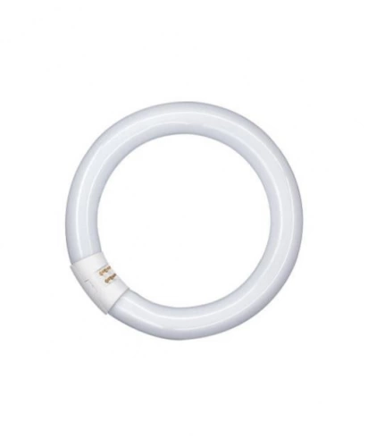tube fluorescent circulaire - osram lumilux t9 c - 22 watts - g10q - 4000k