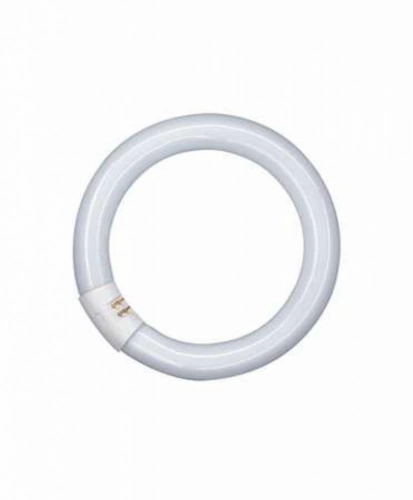 tube fluorescent circulaire - osram lumilux t9 c - 32 watts - g10q - 4000k