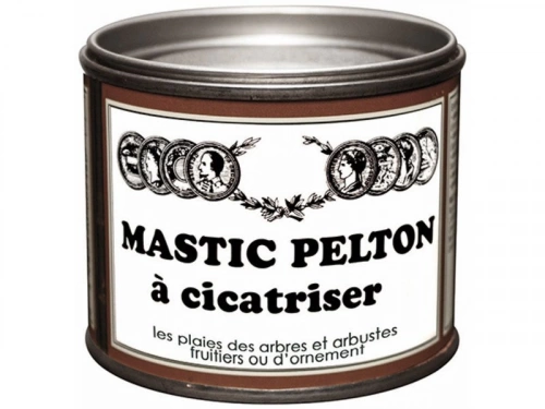 Mastic à cicatriser PELTON, 195 g