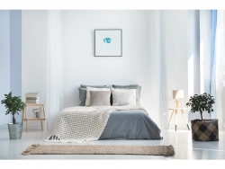 Vignette n°2