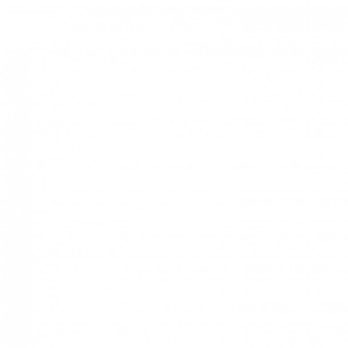 Peinture anticondensation Rip etanch, RIPOLIN blanc 0.75 l